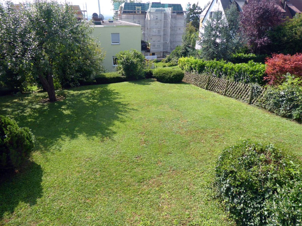 Gemeinschaftlicher Garten